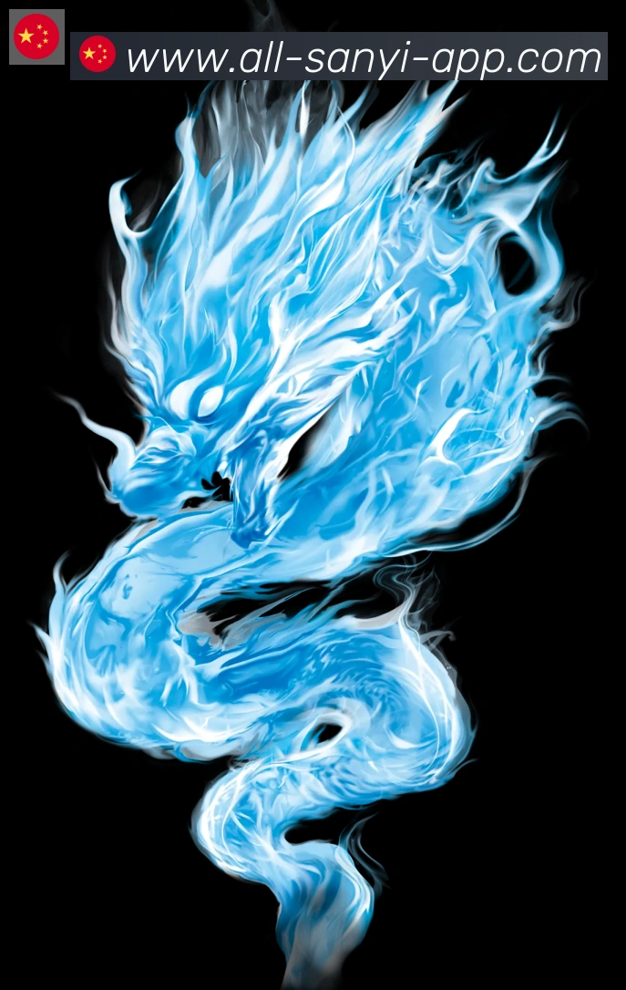 未来规划